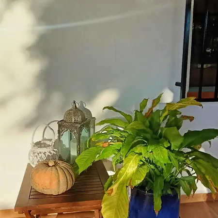 Feriehus Casa Mariseta Y Tonet, Naturaleza A 2 Km Del Mar *