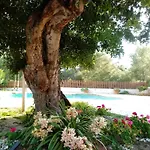 Holiday home Casa Mariseta Y Tonet, Naturaleza A 2 Km Del Mar, Piscina Con Jacuzzi