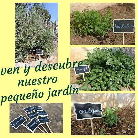 Holiday home Casa Mariseta Y Tonet, Naturaleza A 2 Km Del Mar Calpe