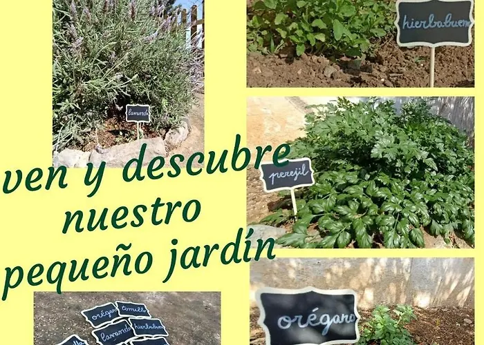 Holiday home Casa Mariseta Y Tonet, Naturaleza A 2 Km Del Mar Calpe