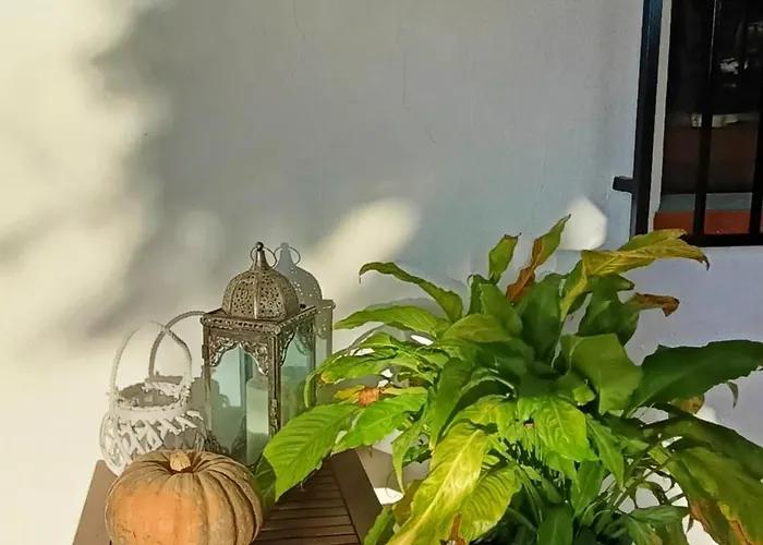 Hébergement de vacances Casa Mariseta Y Tonet, Naturaleza A 2 Km Del Mar *