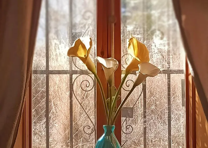 Casa Mariseta Y Tonet, Naturaleza A 2 Km Del Mar * Calpe