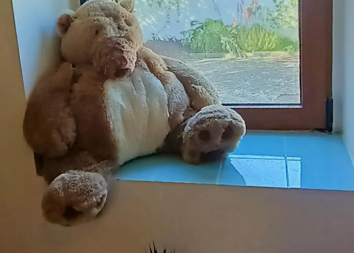 Casa Mariseta Y Tonet, Naturaleza A 2 Km Del Mar Hébergement de vacances *