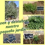 別荘 Casa Mariseta Y Tonet, Naturaleza A 2 Km Del Mar, Piscina Con Jacuzzi カルプ