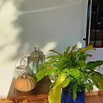 別荘 Casa Mariseta Y Tonet, Naturaleza A 2 Km Del Mar, Piscina Con Jacuzzi *
