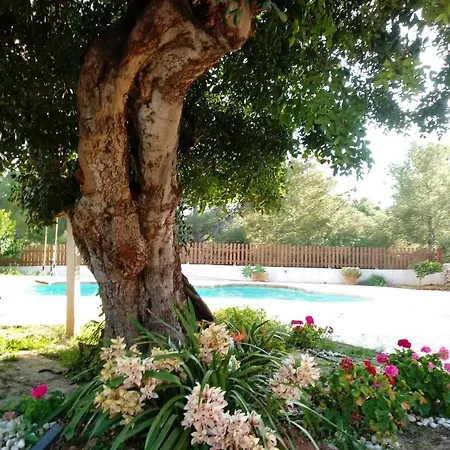 度假居 Casa Mariseta Y Tonet, Naturaleza A 2 Km Del Mar